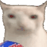 Very Cat